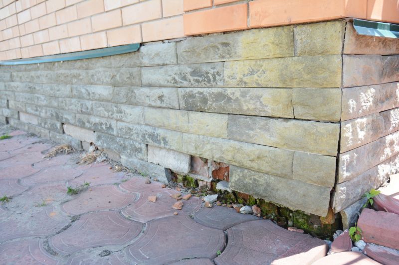 Foundation Damage Repair